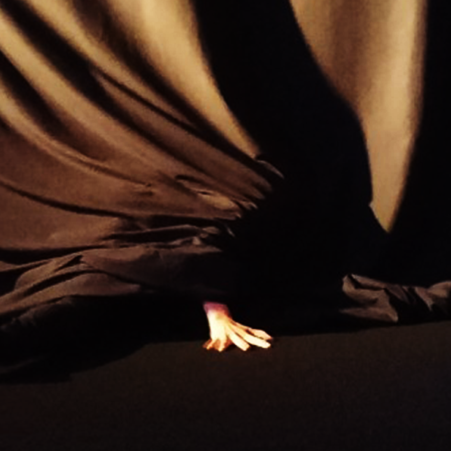 �l�Ԉ֎q�]�߂��߁] �C���[�W�ʐ^�F�����̉����甇���o�Ă����